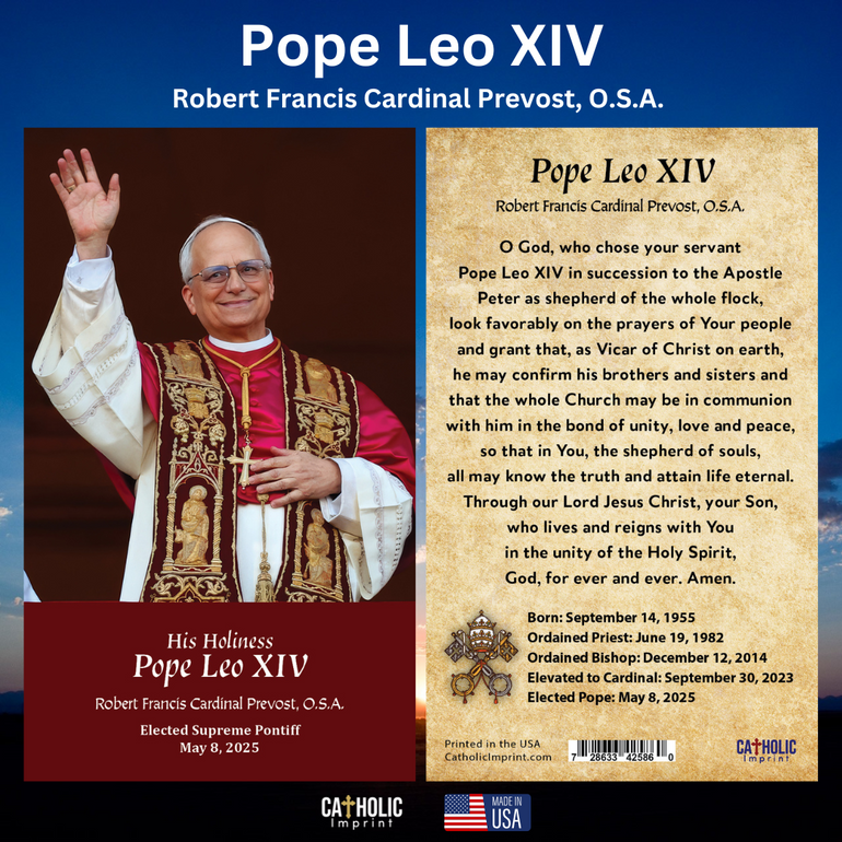 Pope Leo XIV’s Coat of Arms and Motto: A Symbol of Augustinian Unity ...