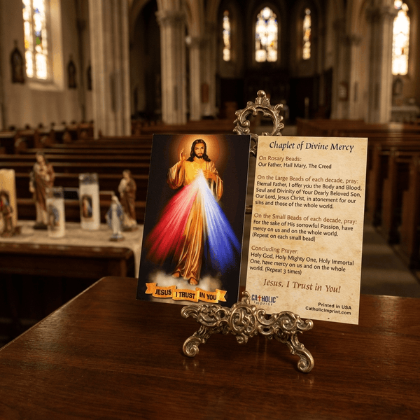 Divine Mercy Chaplet Prayer Card - Divine Mercy Prayer Card | Durable ...