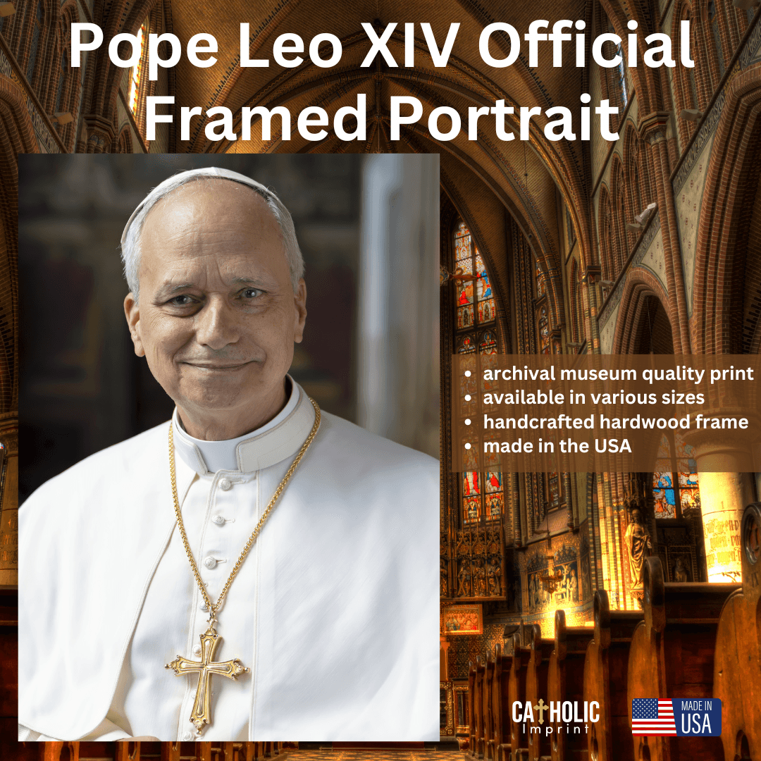 Pope Leo XIV Framed Print Catholic Imprint pope-leo-xiv-framed-print-catholic-imprint